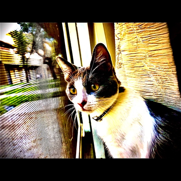 Breanna Larin - Poshmark Profile Picture of Breanna Larin (@breannalarin) on Poshmark