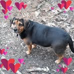 Profile Picture of Laura Bivens (@laura.bivens.77) on Facebook