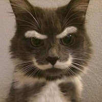 Profile Picture of Robert Viall (@robert-viall-2) on Quora