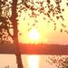 Profile Picture of Susanna Keller (@keezlar) on Pinterest