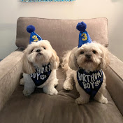 Profile Picture of Kelli Matsuda (@kellimatsuda6396) on Youtube