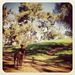 Profile Picture of Chris Bergin (@chrisbergin44) on Pinterest