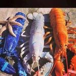 Profile Picture of Paula Vautour (@paulavautour) on Instagram