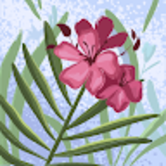 Profile Picture of Ruth Mclaurin (@ruthmclaurin60) on Poshmark