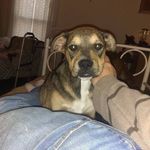 Profile Picture of Darius Scott Littlejohn (@darius_littlejohn) on Instagram