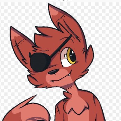 Profile Picture of Noel The Pirate Fox/Kid Foxy (@NoelStafford9) on Twitter