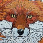 Profile Picture of Michał Różycki (@konturowisko) on Instagram