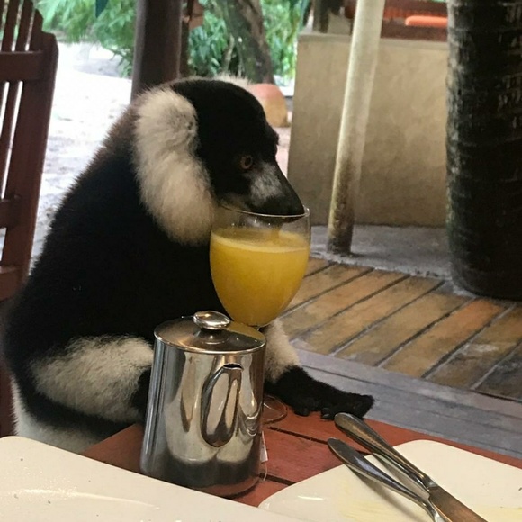 Profile Picture of Lana Tippins (@nurse2030) on Poshmark