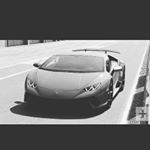 Profile Picture of dominickthompson (@dominickthompson8696) on Instagram