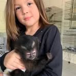 Profile Picture of Joseph Lebron (@Joseph-Lebron) on Facebook