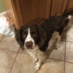 Profile Picture of Jason sitten (@sittin.j) on Instagram