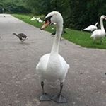 Profile Picture of Frank Kerr (@franciskerr_2) on Instagram
