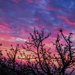 Profile Picture of Carlos Cosio (@c.e.c.a.17) on Instagram