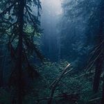 Profile Picture of Everest Alexander Sky (@everestalexandersky) on Instagram