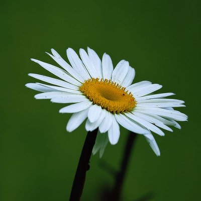 Profile Picture of Tran Nguyen Khanh (@TnK912) on Twitter