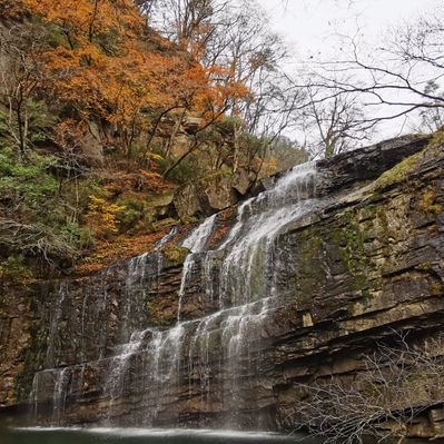 Profile Picture of dan.xue (@danxue4) on Twitter