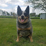 Profile Picture of Bobbie Phillips (@bobbiephillips7796) on Youtube