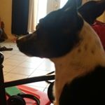 Profile Picture of chris majors (@lowrider77_) on Instagram