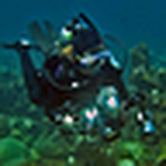 Profile Picture of Barbara Gentile-crary (@underouroceans) on Flickr