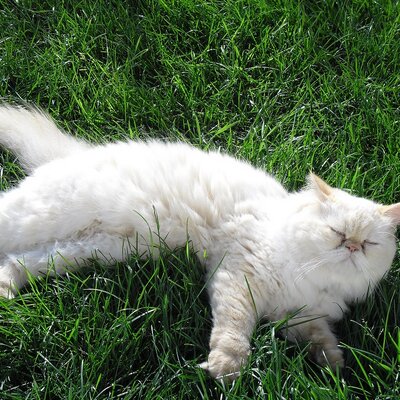 Profile Picture of Stacey McCue (@StaceyMcCue1) on Twitter