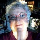 Profile Picture of Carol Dougan James (@msvcd) on Pinterest