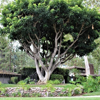 Profile Picture of Caliscape Landscape (@balcer_richard) on Twitter