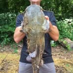 Profile Picture of Brian Konoff (@Brian-Konoff) on Facebook