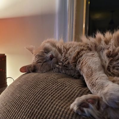 Profile Picture of Jon Spang (@JonMspang) on Twitter