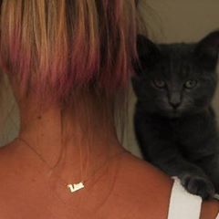 Profile Picture of Lisa Alleman (@lisaalleman0) on Tiktok