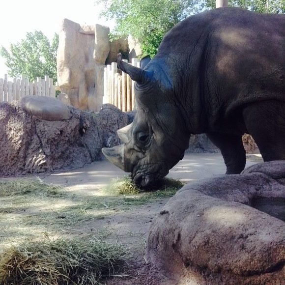 Profile Picture of Andrew Kishpaugh (@andykishpaugh) on Poshmark