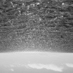 Profile Picture of Allison (@87cqbenniega) on Instagram