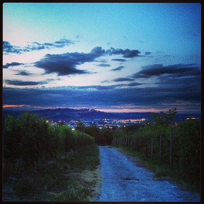 Profile Picture of Stephen (@Augusta_6862) on Twitter