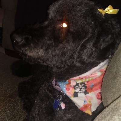 Profile Picture of Jon Dilley, Biggus Nerdus (@0Generic0) on Twitter