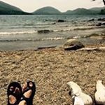 Profile Picture of James Broderick (@jbroderick77) on Instagram
