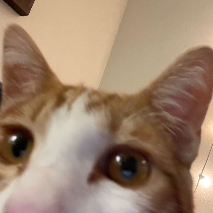 Profile Picture of Evan (@butevan) on Tiktok