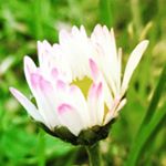 Profile Picture of Jelte Platerink (@jelteplaterink) on Instagram