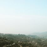Profile Picture of Joe Herd (@joe.herd) on Instagram