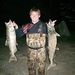 Profile Picture of Andrew Brackins (@andrewbrackins7) on Pinterest