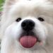 Profile Picture of mr. rabbits (@benjamincroce20) on Pinterest