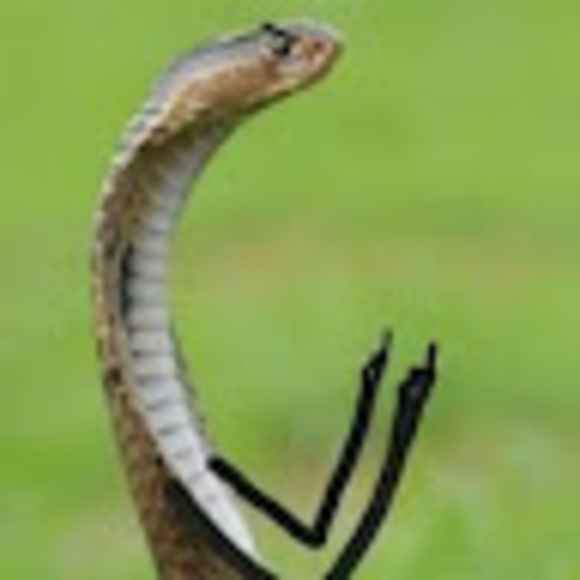 Quinn Robinson - Poshmark Profile Picture of Quinn Robinson (@quinnnnn111) on Poshmark