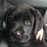 Profile Picture of Tyrone Diego Farrell (@tyrone.diego.farrell) on Instagram