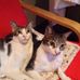Profile Picture of Wong Stephen (@stephen.wong.52090008) on Facebook