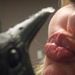 Profile Picture of Lisa Delaney (@rubytheclown) on Pinterest
