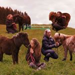 Jamie▪Jimmy▪Fritzchen▪Donner🔥 - Instagram Profile Picture of Jamie▪Jimmy▪Fritzchen▪Donner🔥 (@littledancingponys) on Instagram