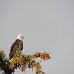 Profile Picture of John Reinmann (@johnreinmann) on Instagram