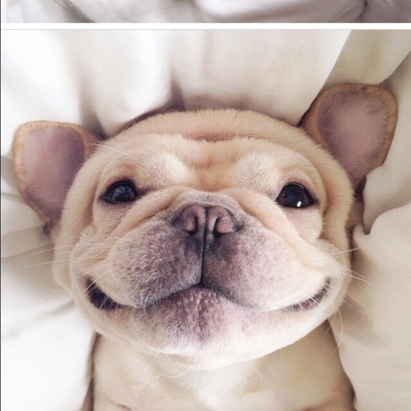 Profile Picture of Taylor Horacek (@blue_soda) on Poshmark