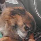 Profile Picture of   Vi e... (@we_are_fkn_kings) on Tiktok