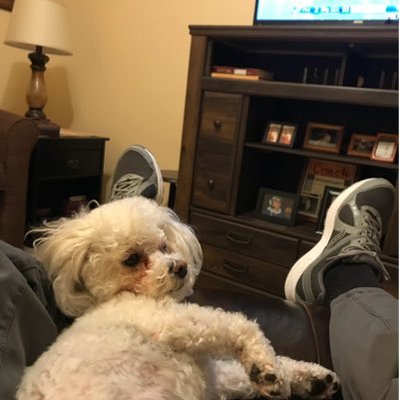 Profile Picture of John Bishop (@JohnBis70276699) on Twitter