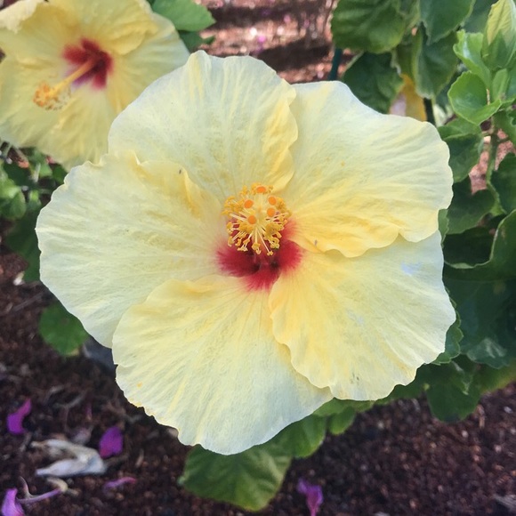 Profile Picture of Lexi Herrod (@lexiherrod) on Poshmark