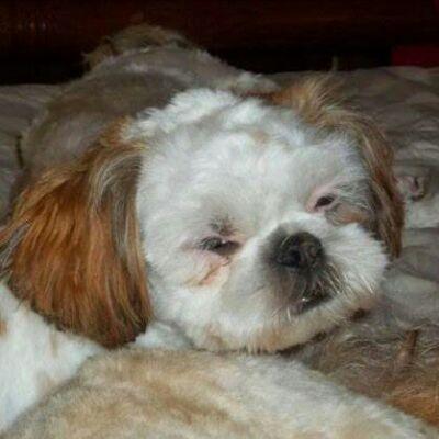 Profile Picture of DOUG MCKAY (@dougmckay55) on Twitter